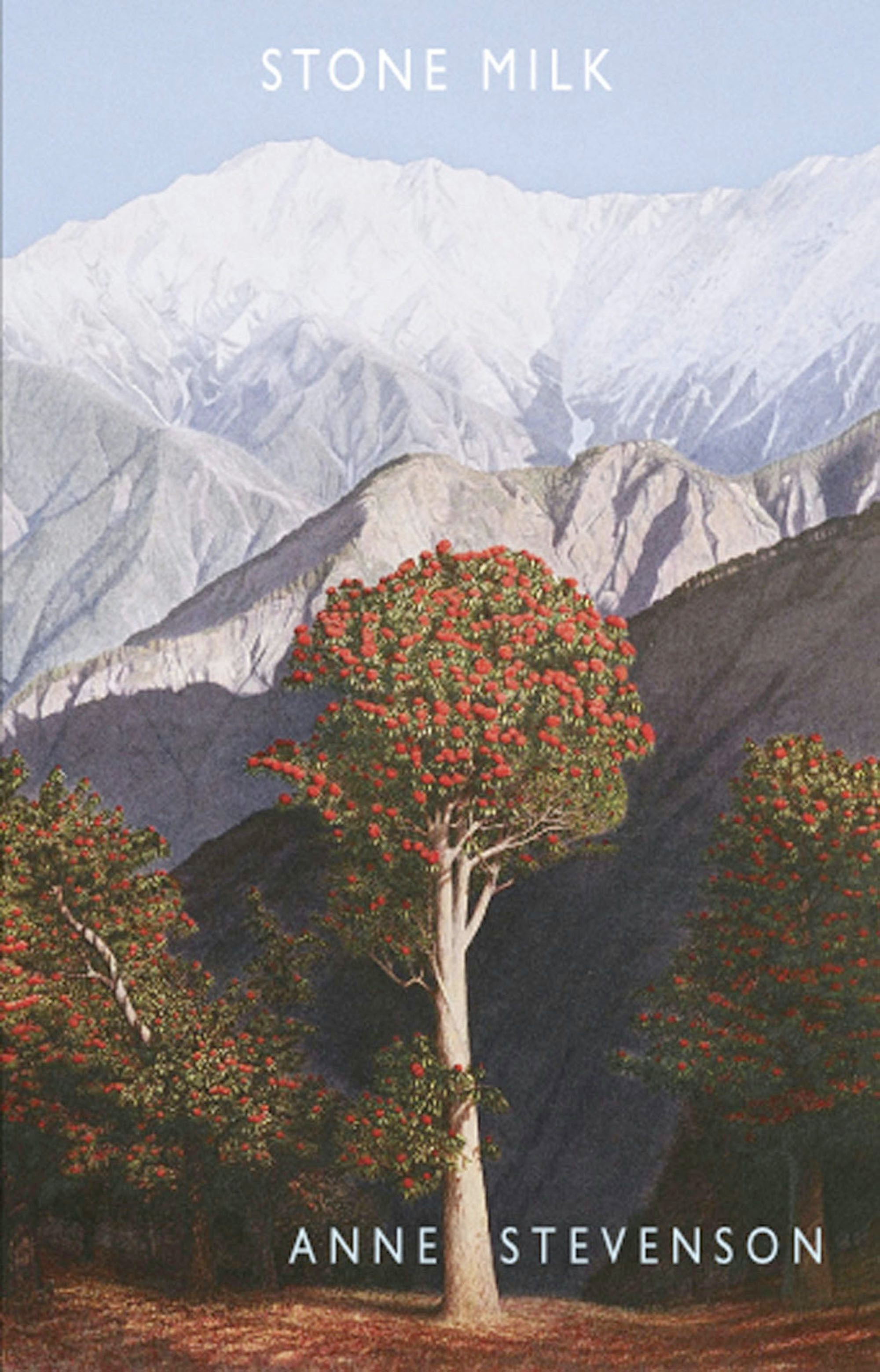 Book cover image for Stone Milk ISBN: 9781852247751